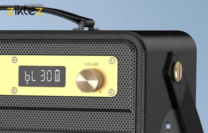 اسپیکر بلوتوثی دبلیو کینگ W-KING K6S Speaker Bluetooth (اورجینال ارسال فوری) - Image 6