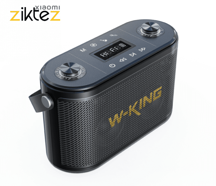 اسپیکر بلوتوثی دبلیو کینگ SPEAKER W-KING H10S (اورجینال ارسال فوری) - Image 3