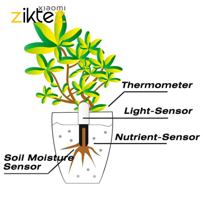 سنسور نظارت بر گل و گیاه شیائومی Xiaomi Mi Smart Plant Monitor Sensor (اورجینال ارسال فوری) - Image 10