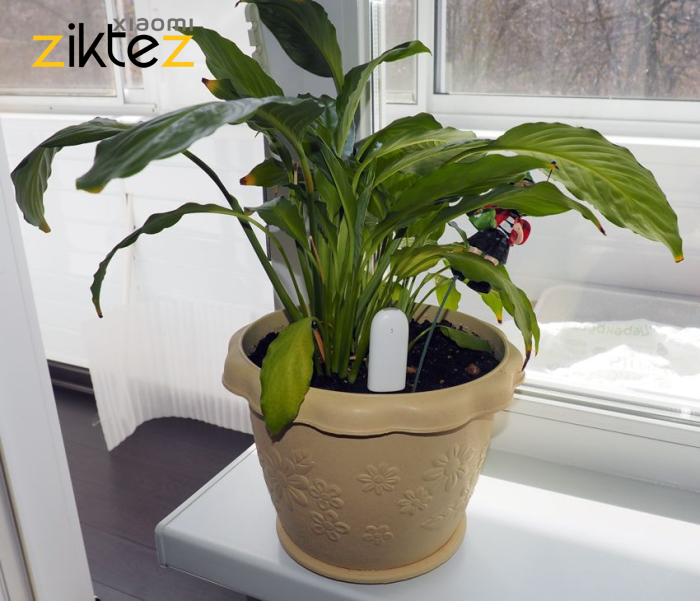 سنسور نظارت بر گل و گیاه شیائومی Xiaomi Mi Smart Plant Monitor Sensor (اورجینال ارسال فوری) - Image 13