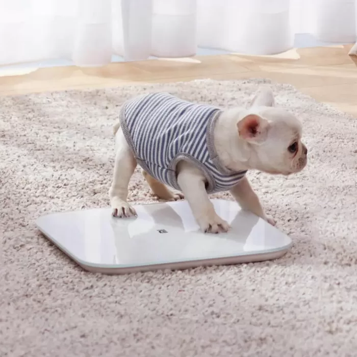 ترازوی هوشمند شیائومی مدل Xiaomi Scale 2 (نسخه اورجینال ـ ارسال فوری) - Image 6