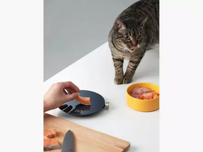 ترازو آشپزخانه HOTO شیائومی ا Xiaomi Hoto Smart Kitchen Scale (پلمپ اورجینال ارسال فوری) - Image 4