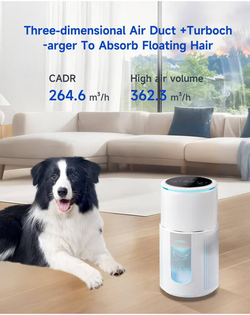 تصفیه هوا, تصفیه هوای حیوانات, تصفیه هوای گربه, تصفیه هوای سگ, Bomidi AP02, بمیدی AP02, فیلتر H13, فیلتر هپا, دستگاه تصفیه هوا H13, تصفیه هوا مخصوص حیوانات خانگی, تصفیه هوای ضد بو, حذف موی حیوانات, دستگاه حذف بو حیوانات, Air Purifier Pet, Smart Air Purifier, تصفیه هوای هوشمند, پاکسازی هوا, CADR بالا, فیلتر پنبه استاتیک, بوگیر حیوانات خانگی, دستگاه تصفیه هوا کم صدا, تصفیه هوای اتاق خواب, دستگاه تصفیه هوا خانگی, فیلتر True HEPA, پاک‌کننده هوا, تصفیه هوای آپارتمان, حذف آلرژن حیوانات, دستگاه بوگیر حیوانات